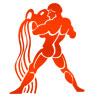 Lalkitab horoscope and remedies 2016 for aquarius